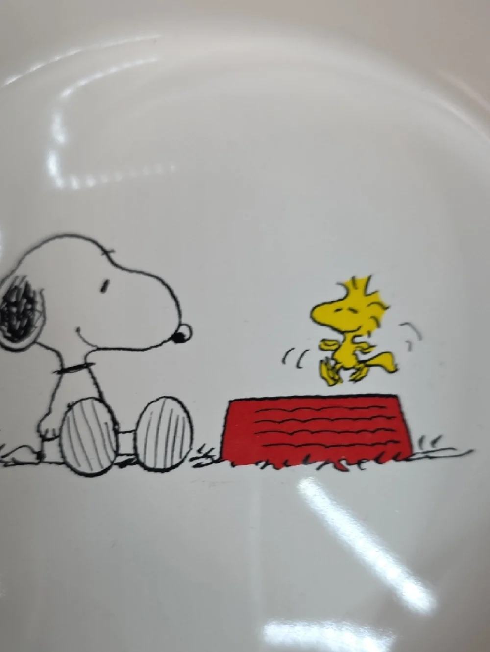 Rae Dunn x Peanuts Pet Food Or Water Bowl